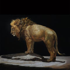 LION STANDING ON A KOPJES, Animal Portrait, Realism, Africa, Tanzania, Dark