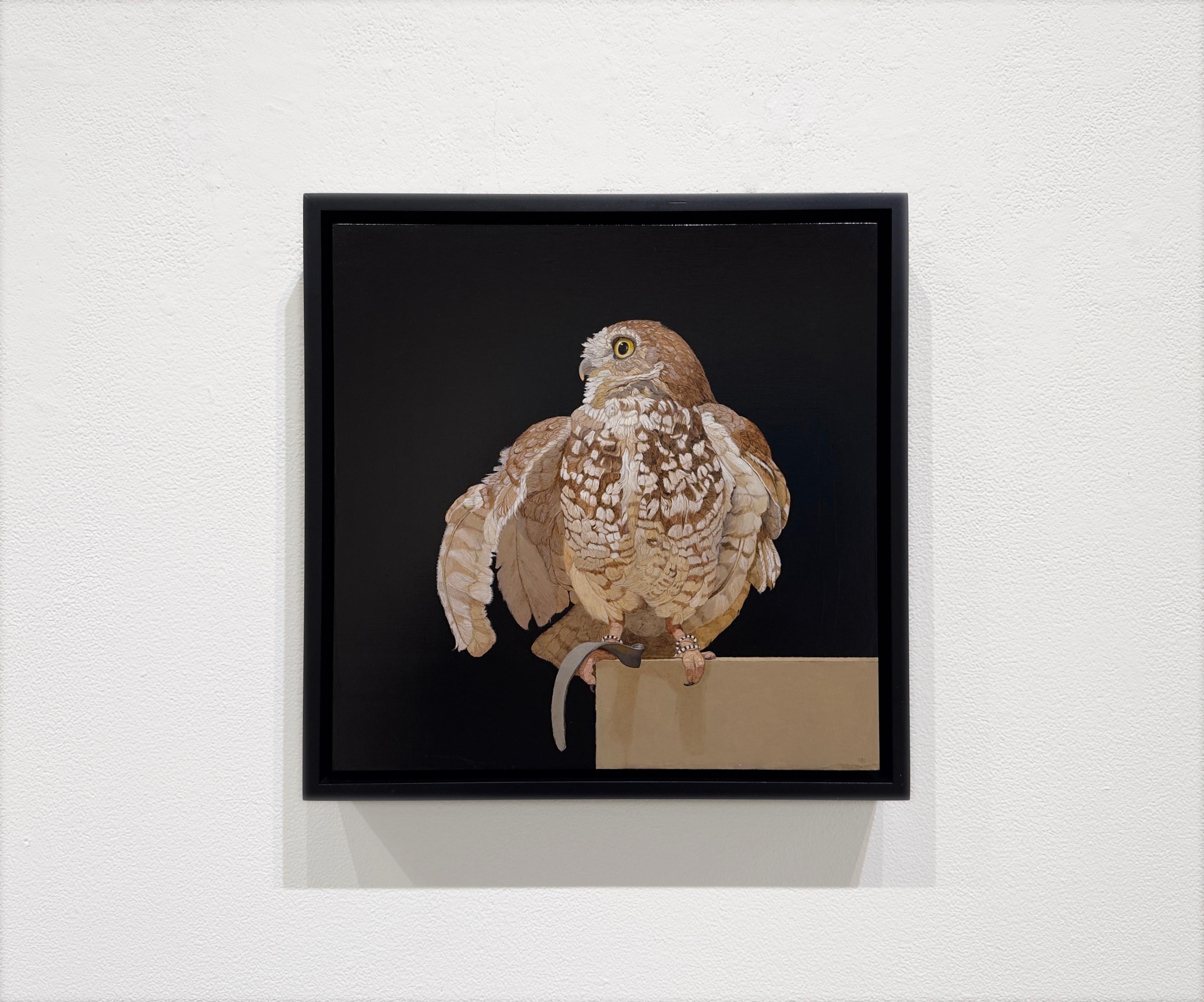 GUFO RISCATTO CON UN TETHER - Animali / Realismo / Conservazione / Arte degli uccelli - Painting di Patricia Traub