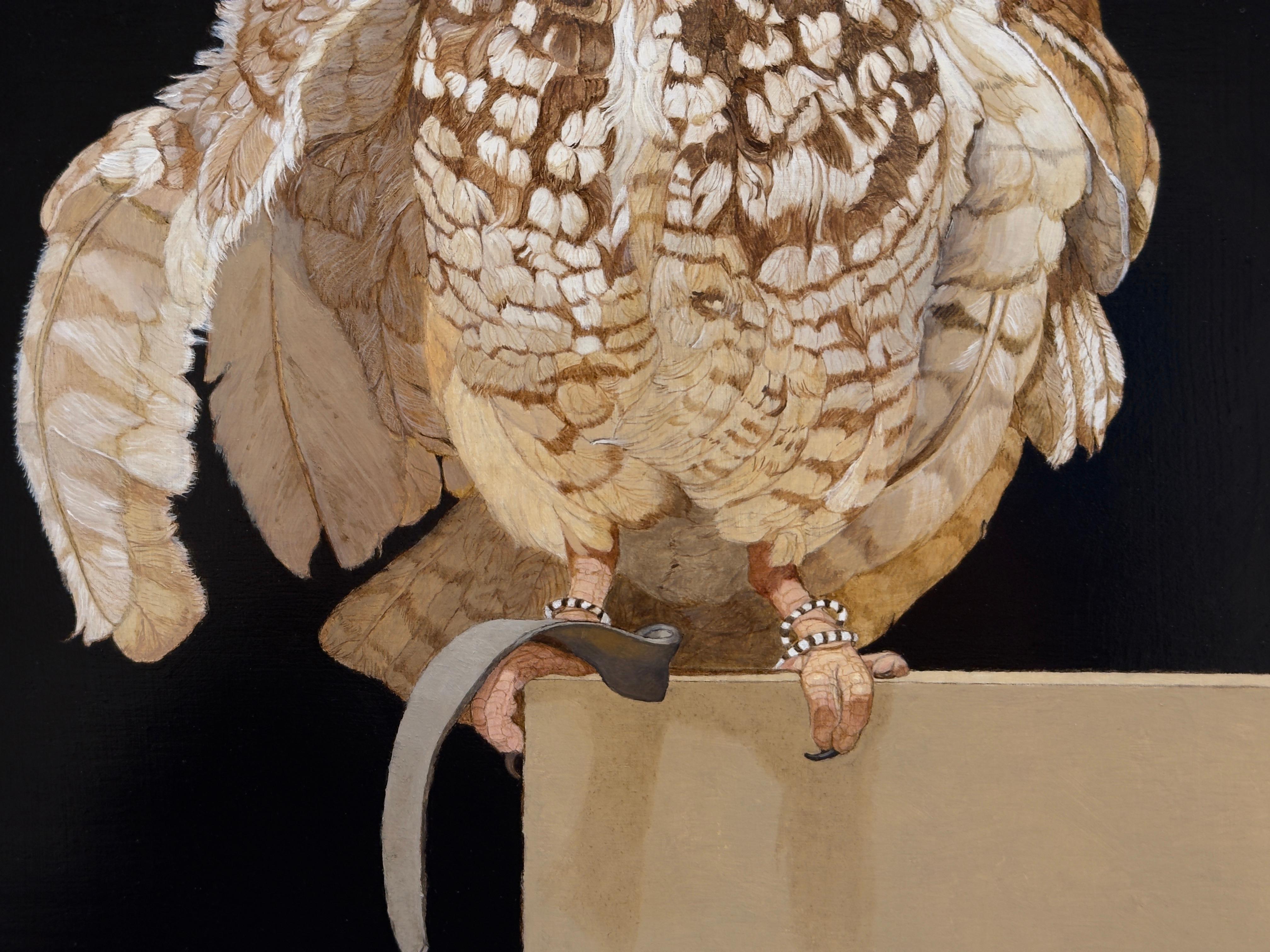 GUFO RISCATTO CON UN TETHER - Animali / Realismo / Conservazione / Arte degli uccelli 1