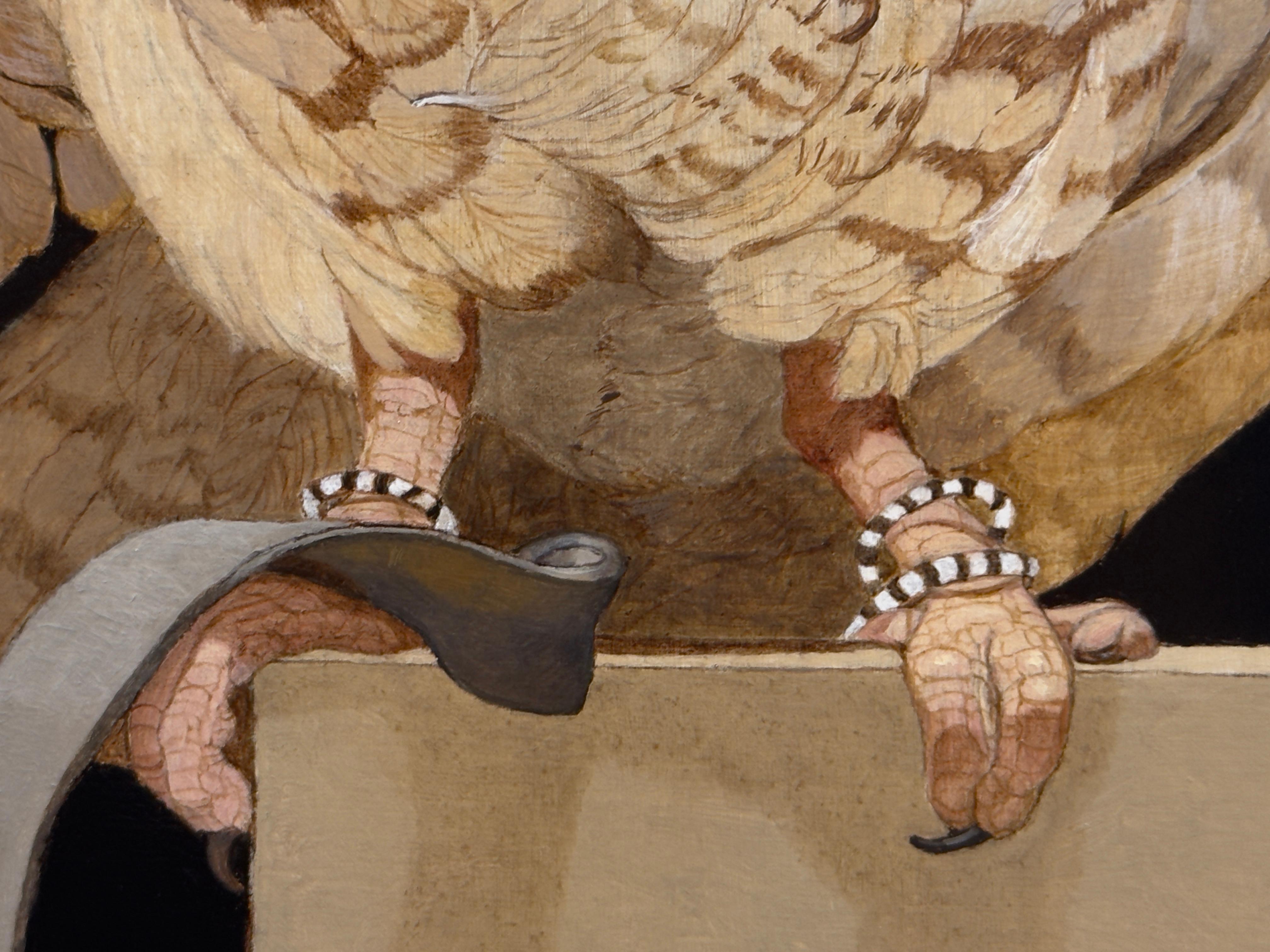 GUFO RISCATTO CON UN TETHER - Animali / Realismo / Conservazione / Arte degli uccelli 2