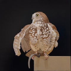GUFO RISCATTO CON UN TETHER - Animali / Realismo / Conservazione / Arte degli uccelli