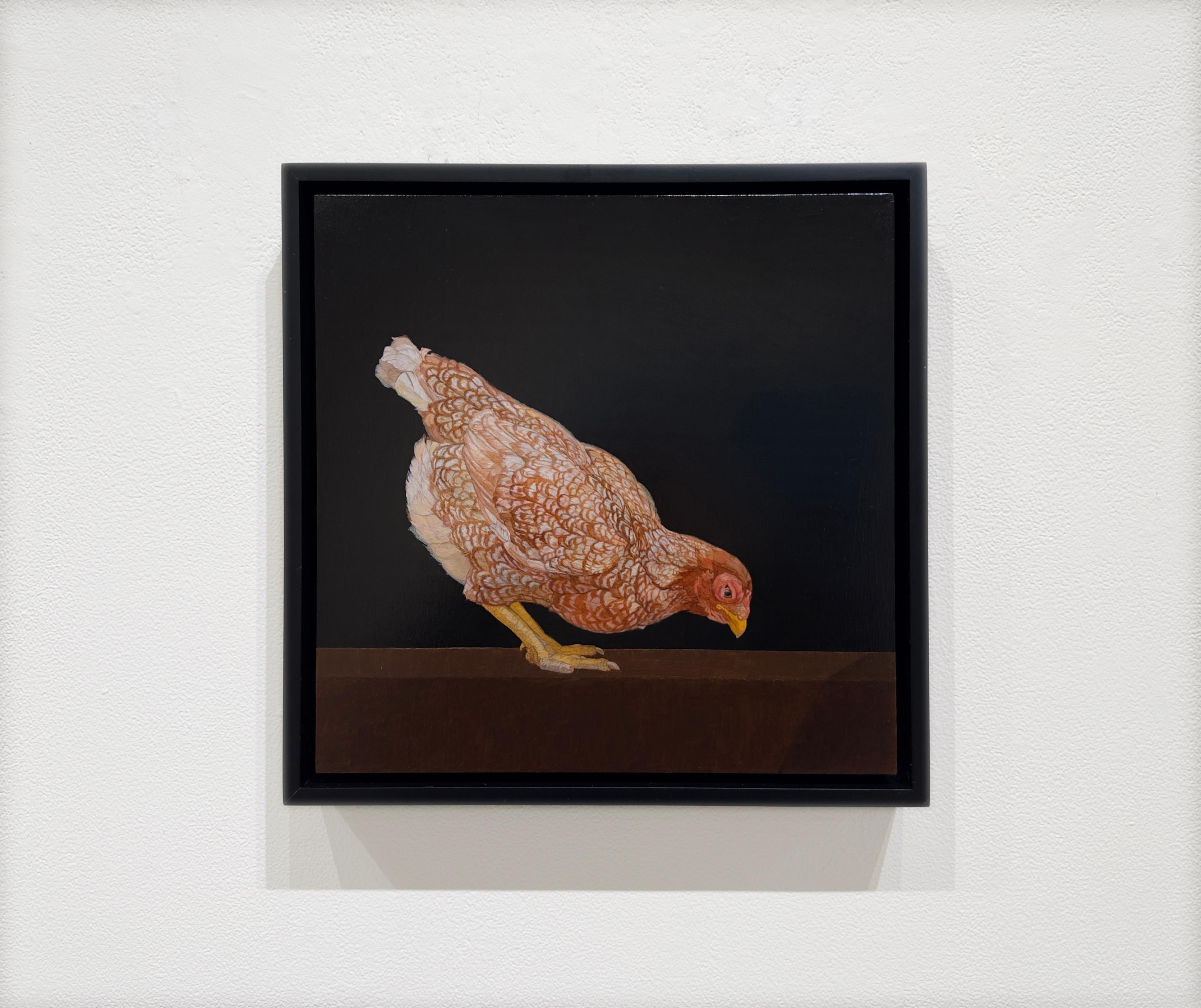 ROAMING FREE ISA PULLET - Art animal / Poulet / Réalisme - Contemporain Painting par Patricia Traub