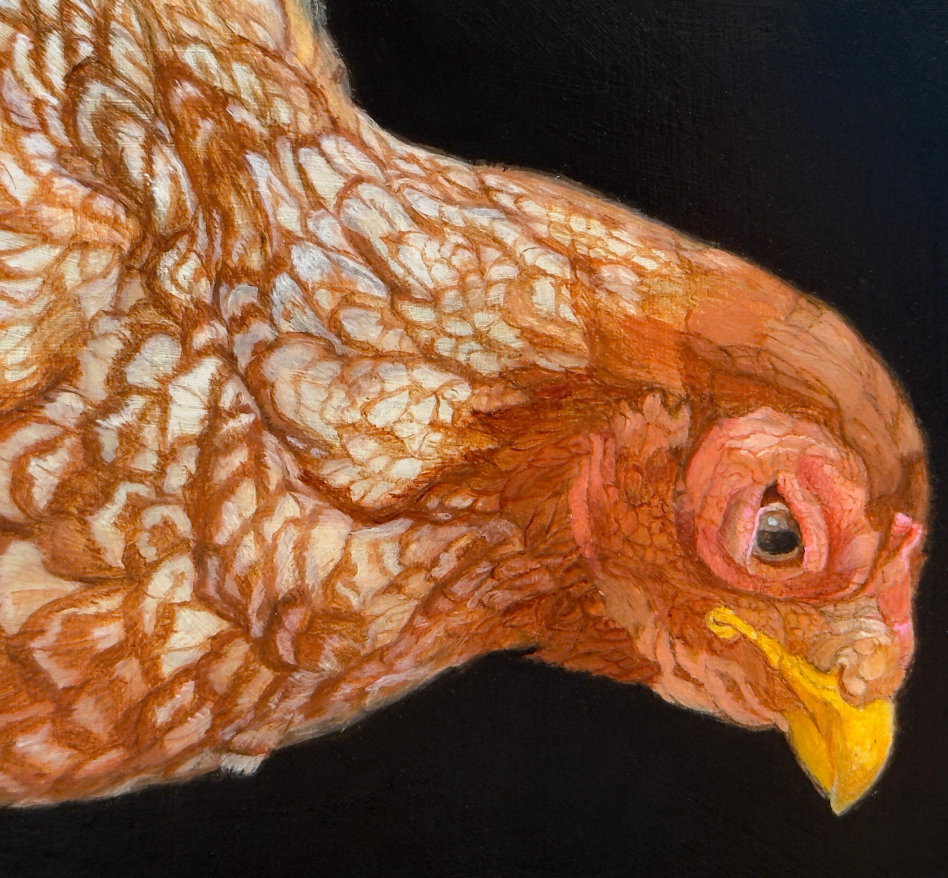 ROAMING FREE ISA PULLET - Art animal / Poulet / Réalisme - Noir Animal Painting par Patricia Traub