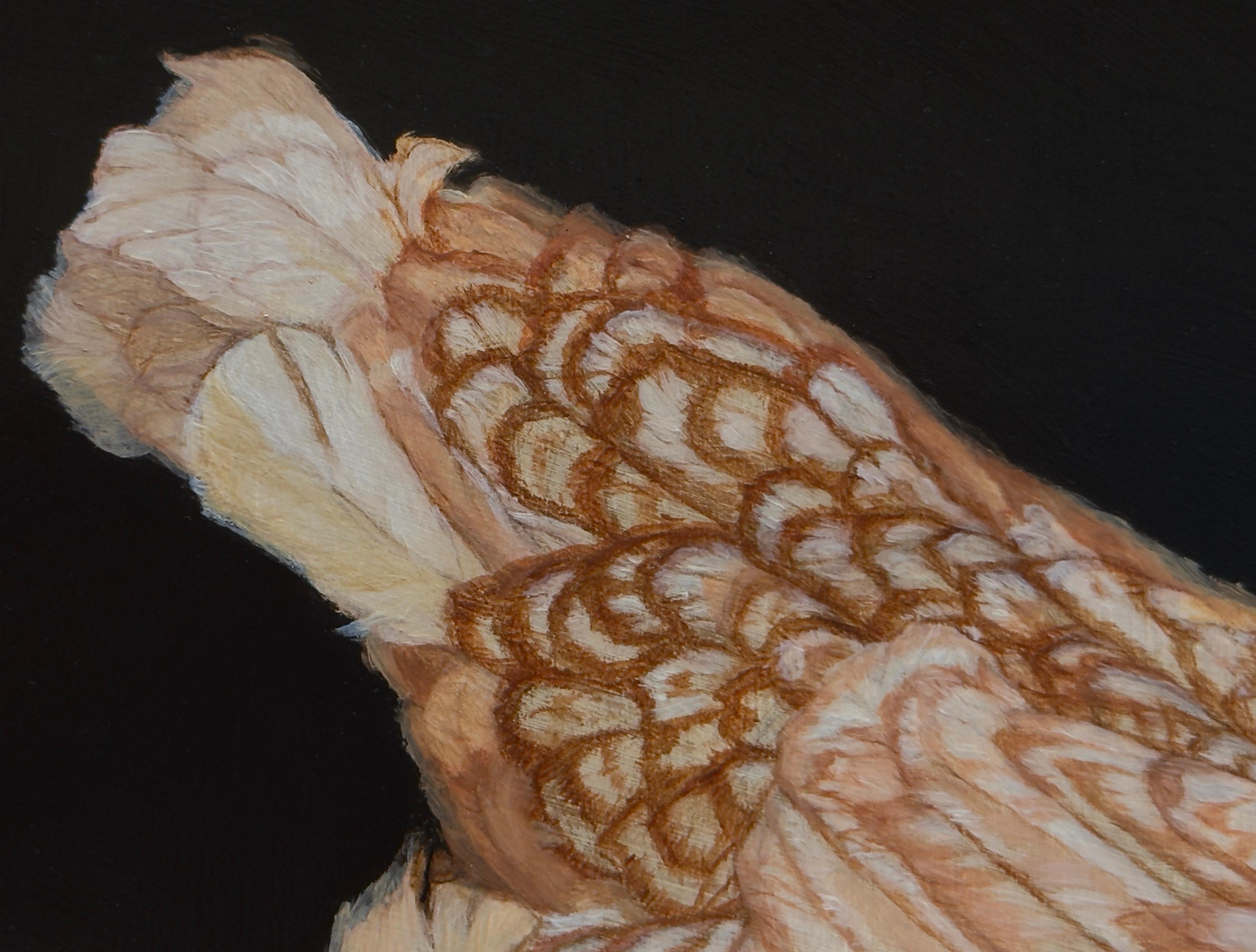 ROAMING FREE ISA PULLET - Art animal / Poulet / Réalisme 1