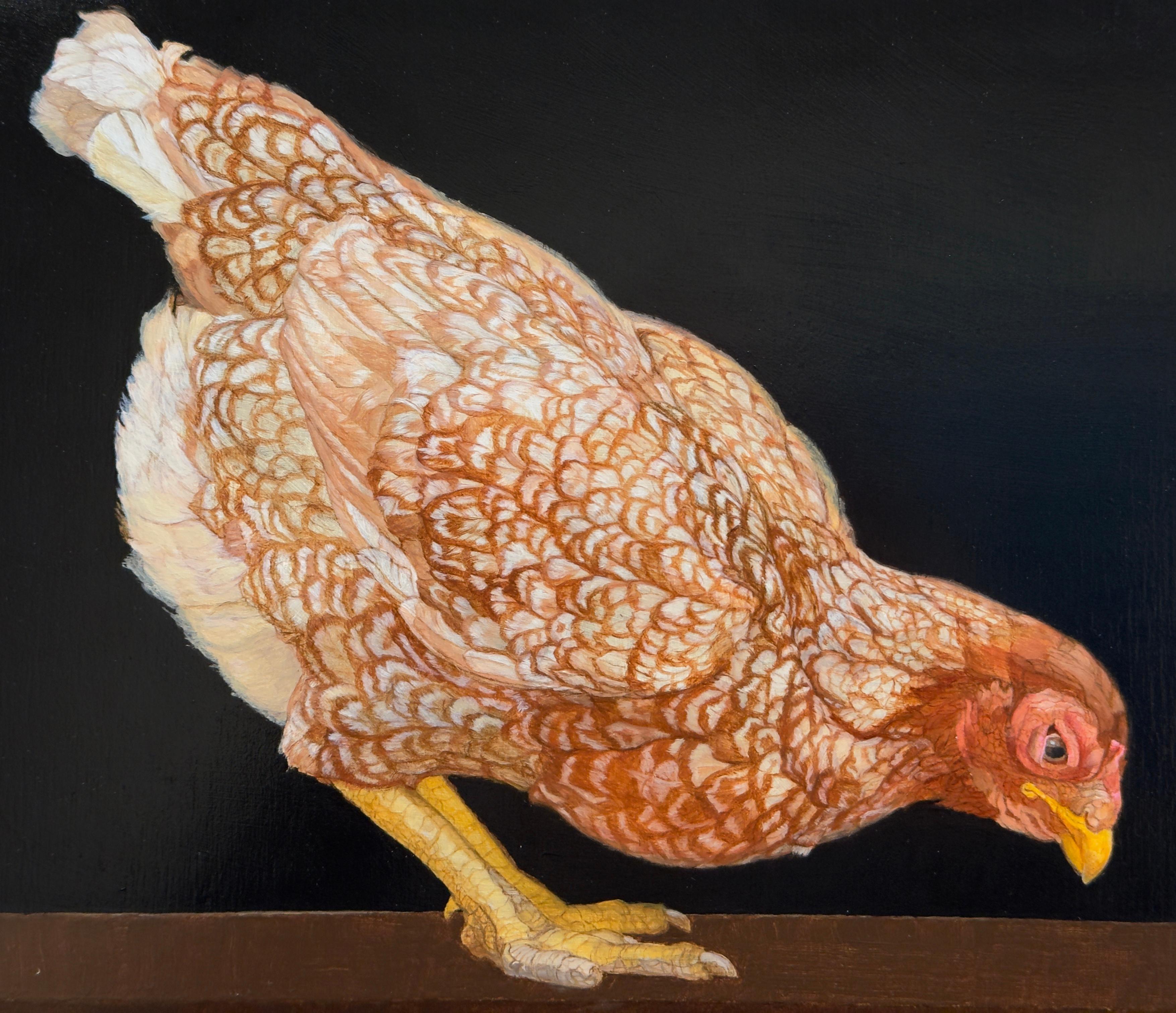 ROAMING FREE ISA PULLET - Art animal / Poulet / Réalisme 2