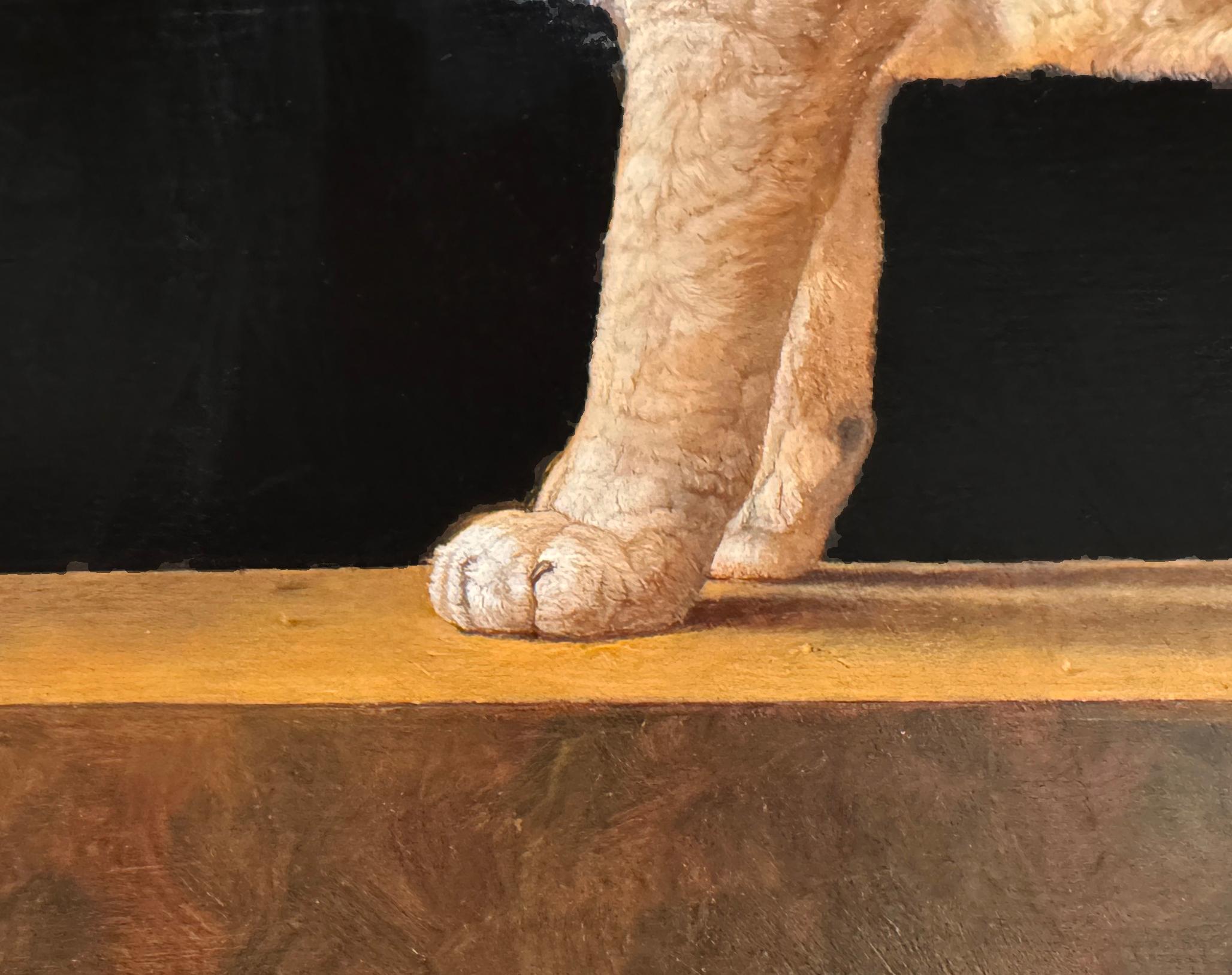 LEÓN DE MONTAÑA SALVADO - Realismo / Animal / Puma - Animal Painting Negro de Patricia Traub