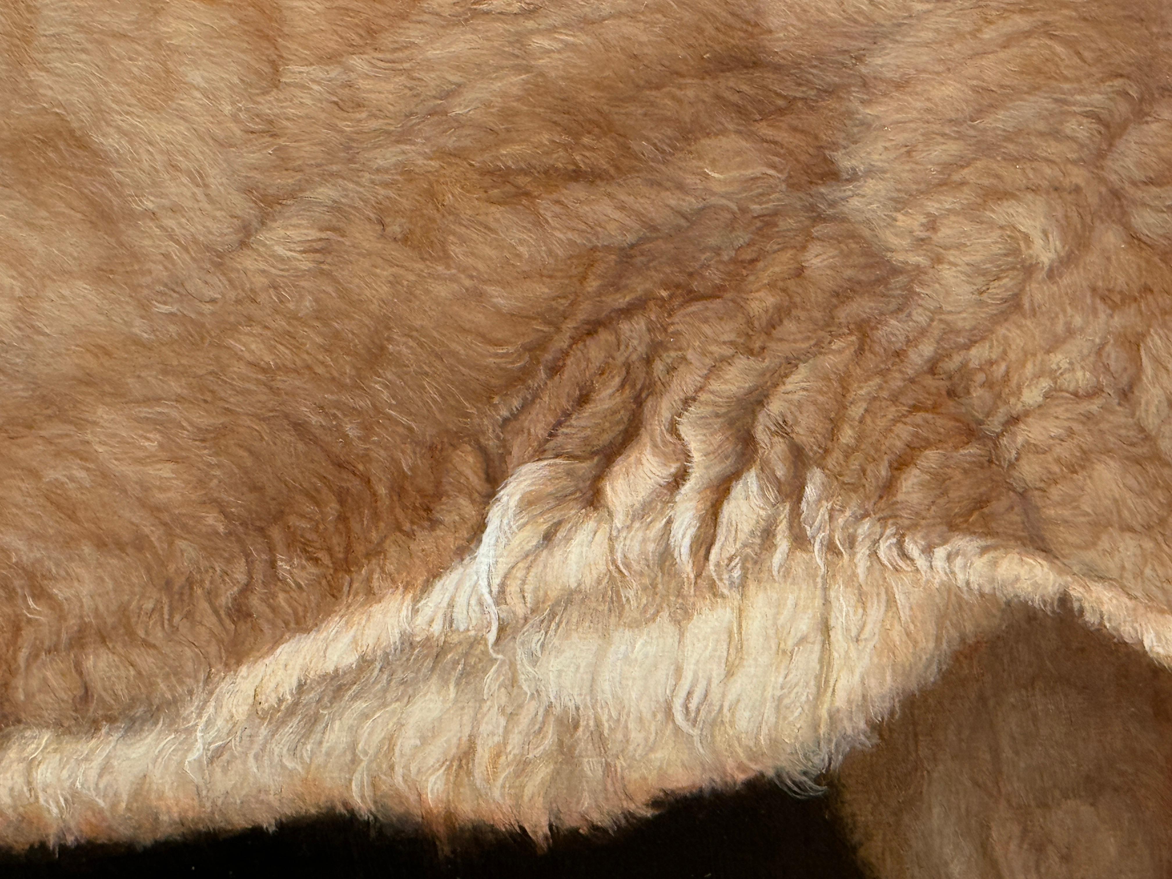 LEÓN DE MONTAÑA SALVADO - Realismo / Animal / Puma 2