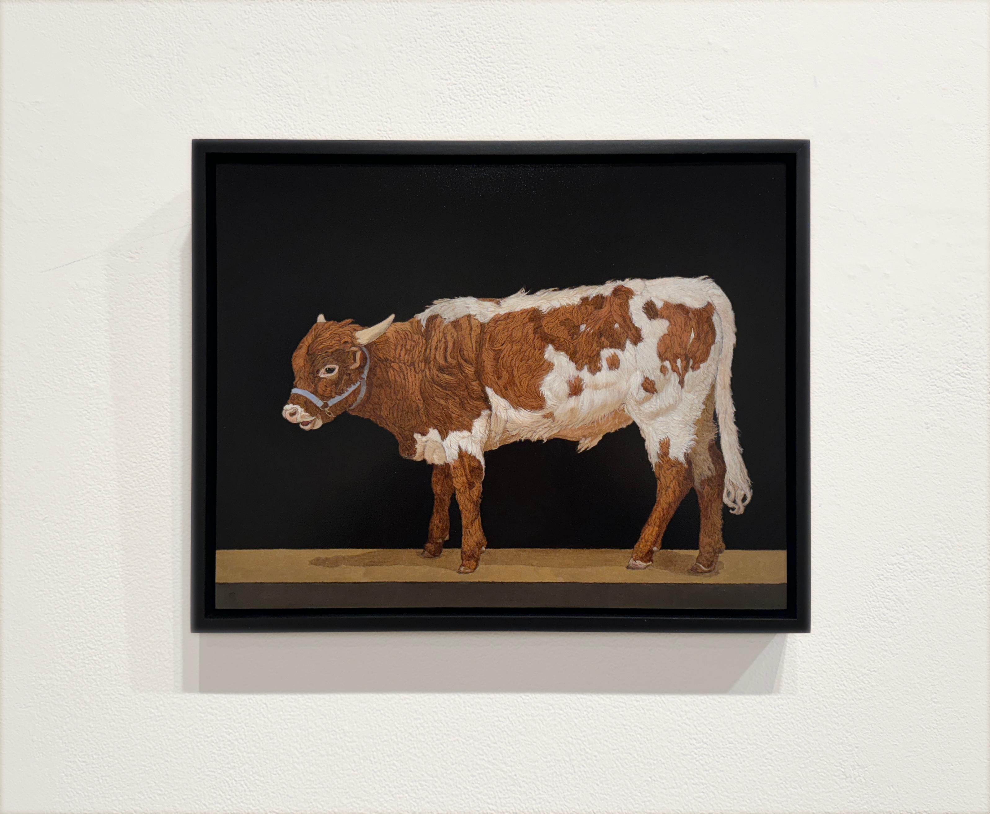 TEXAS LONGHORN YEARLING - Realism / Animal / Cattle / Cow / Farm Animal - Painting by Patricia Traub