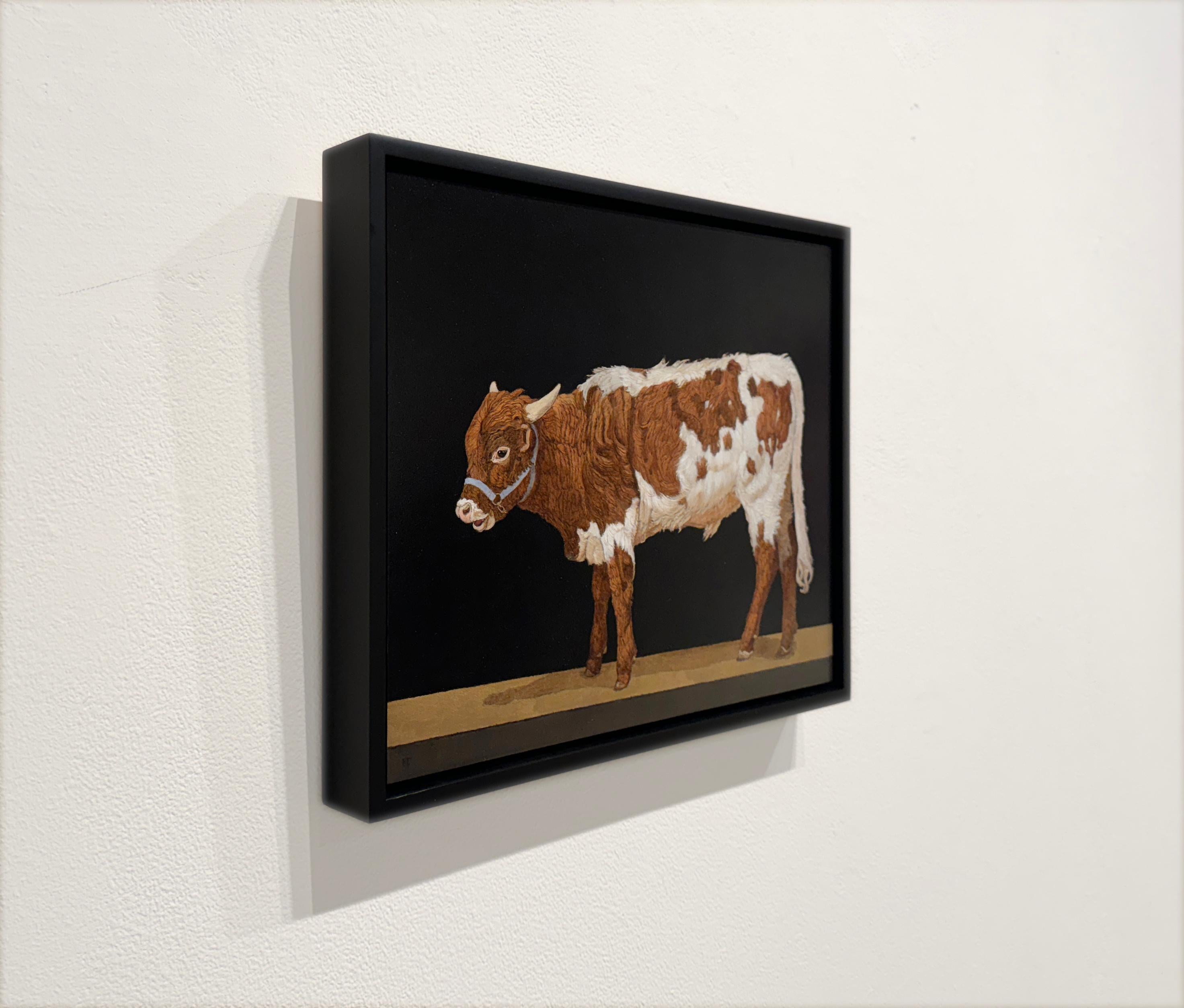 TEXAS LONGHORN YEARLING - Realism / Animal / Cattle / Cow / Farm Animal - Contemporary Painting by Patricia Traub