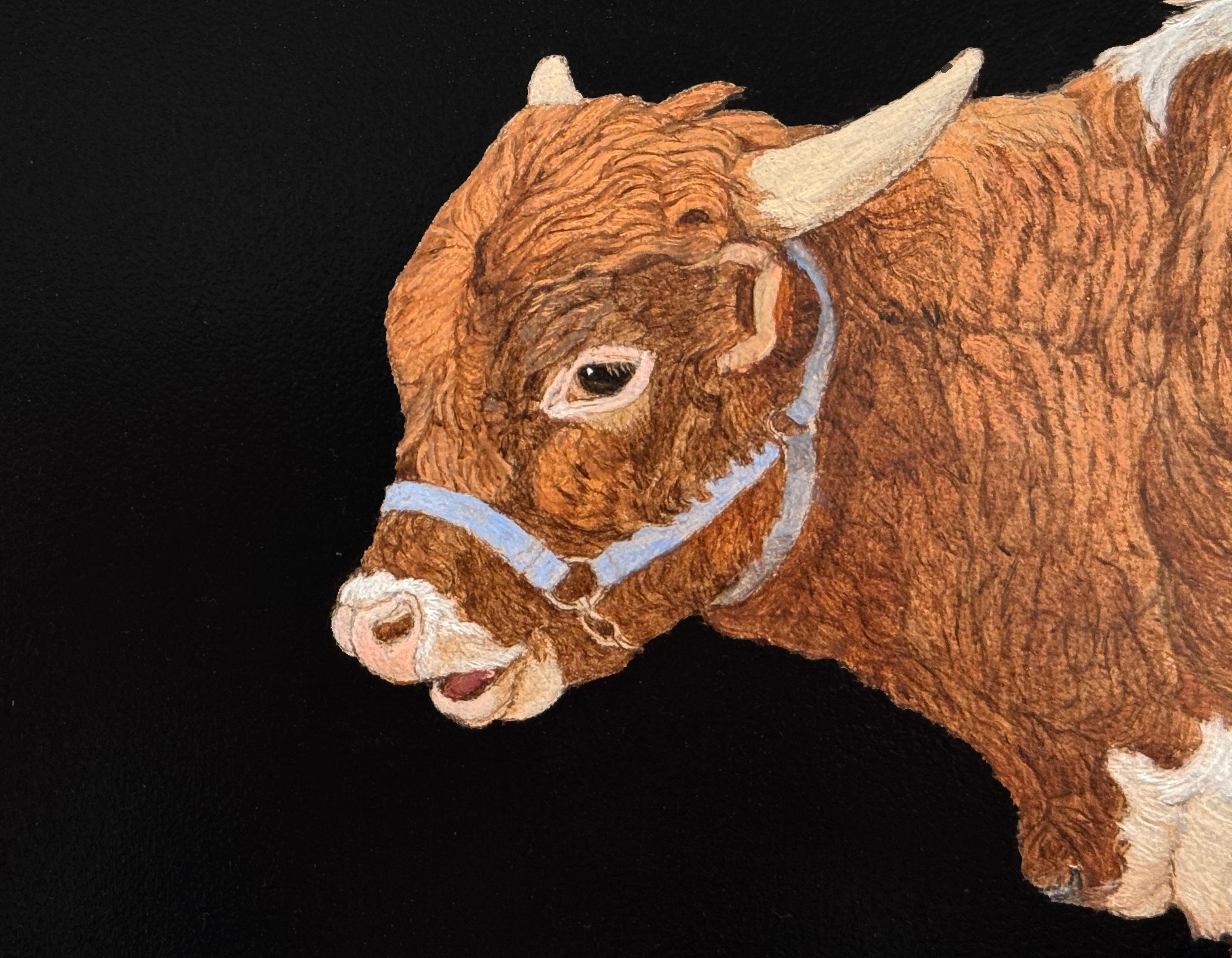 TEXAS LONGHORN YEARLING - Realism / Animal / Cattle / Cow / Farm Animal - Black Animal Painting by Patricia Traub