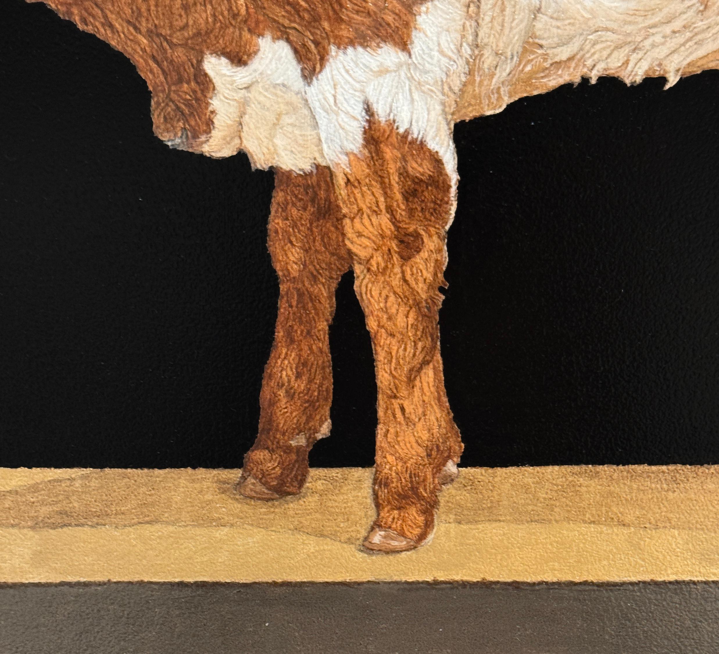 TEXAS LONGHORN YEARLING - Realism / Animal / Cattle / Cow / Farm Animal 2