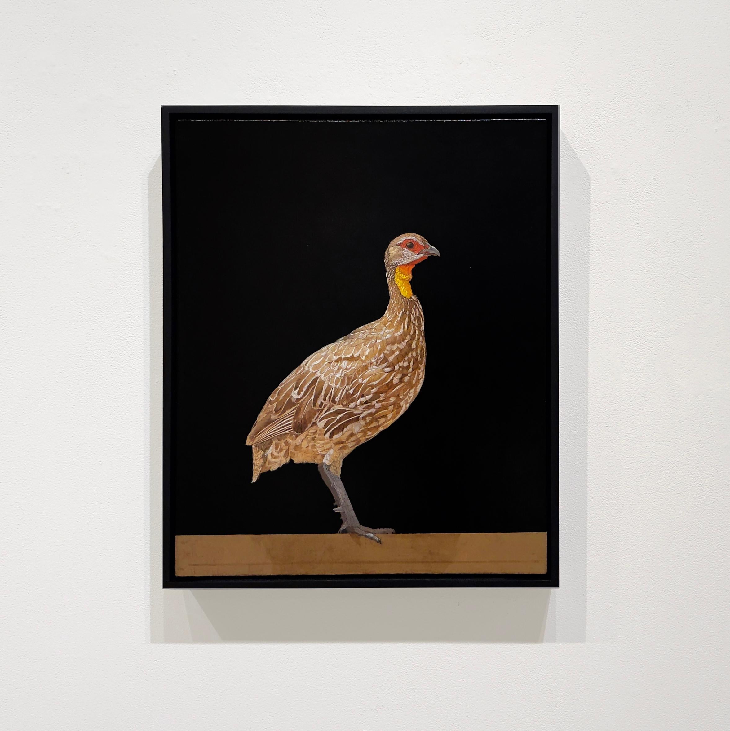 YELLOW-NECKED FRANCOLIN, TANZANIA - African Bird / Animal Art / Hyper Realism - Painting by Patricia Traub