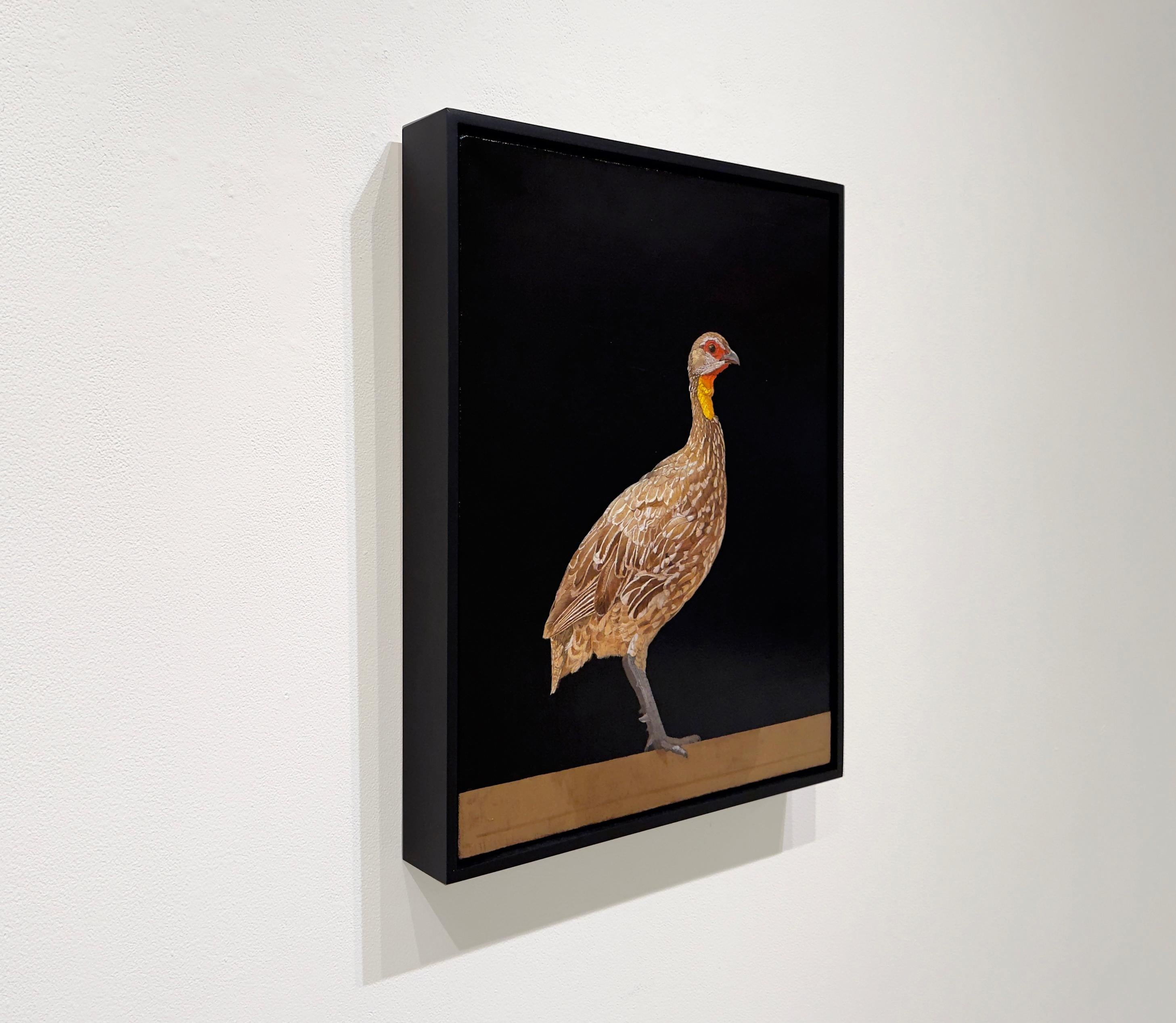 YELLOW-NECKED FRANCOLIN, TANZANIA - African Bird / Animal Art / Hyper Realism - Contemporary Painting by Patricia Traub