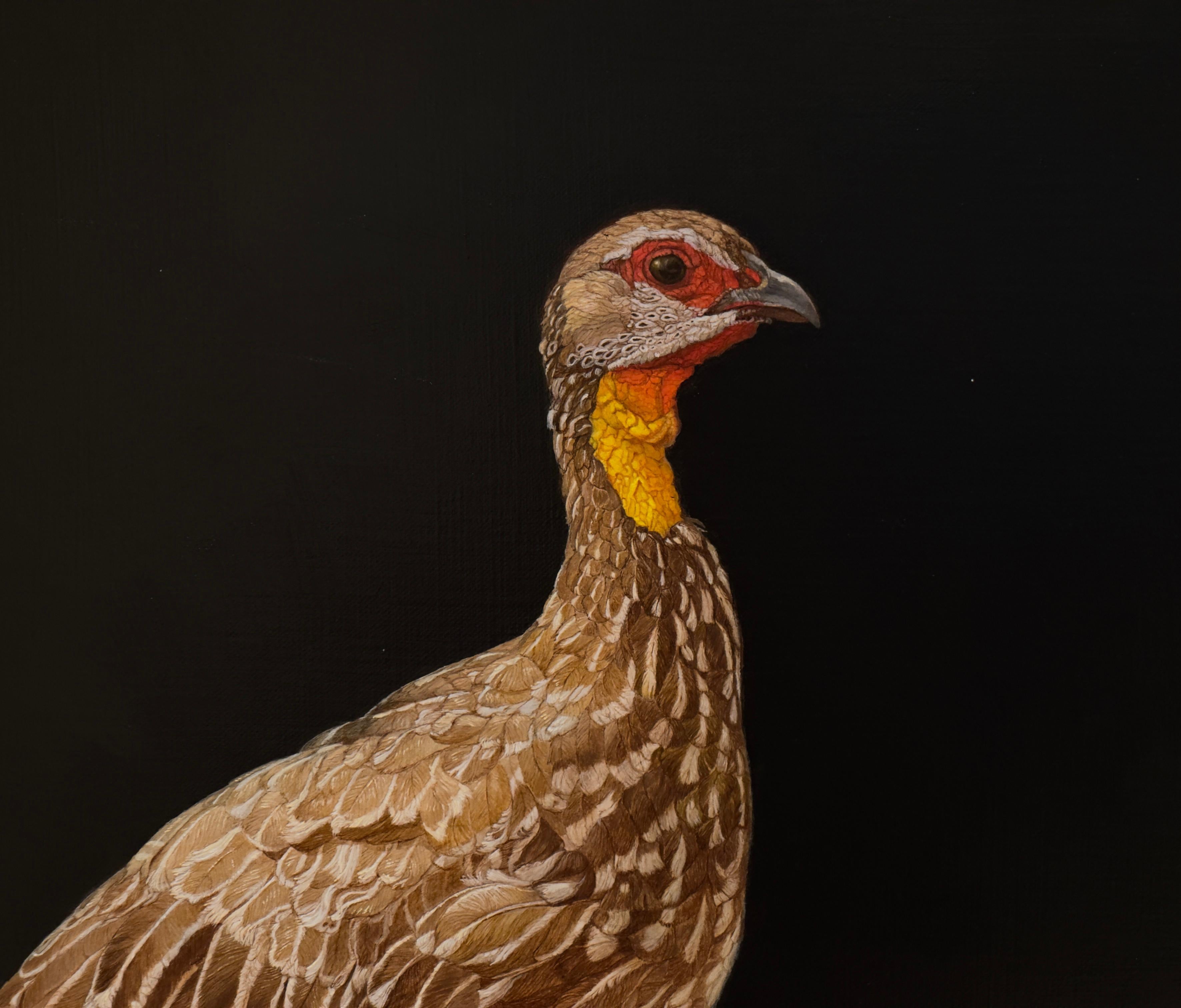 YELLOW-NECKED FRANCOLIN, TANZANIA - African Bird / Animal Art / Hyper Realism - Black Animal Painting by Patricia Traub