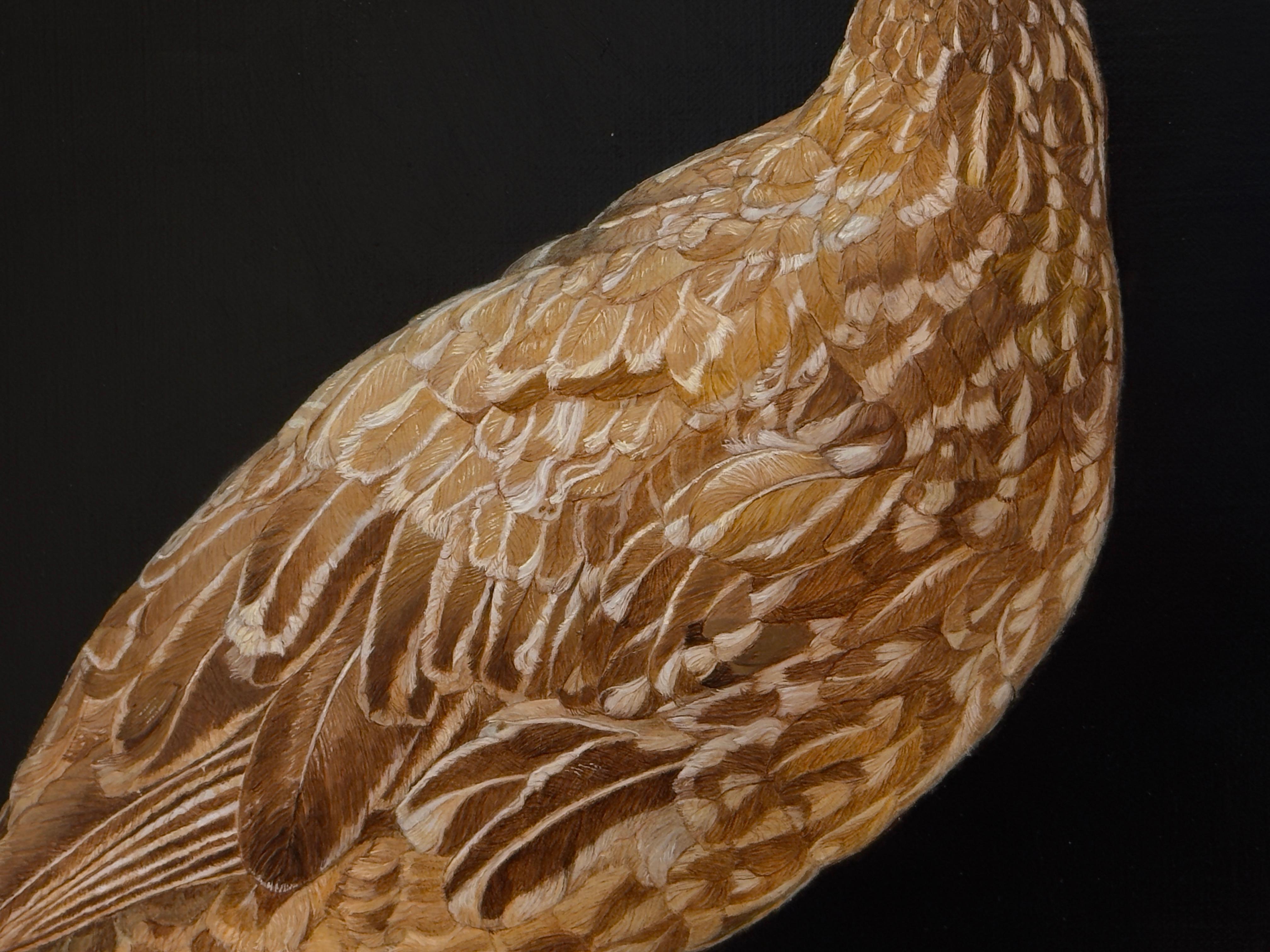YELLOW-NECKED FRANCOLIN, TANZANIA - African Bird / Animal Art / Hyper Realism 1