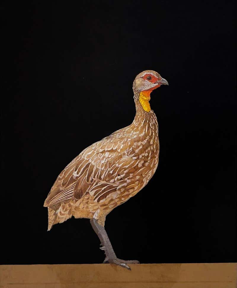 Patricia Traub Art - 15 For Sale at 1stDibs | patricia traub artist ...