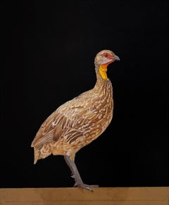 FRANCOLIN DE CUELLOS AMARILLOS, TANZANIA - African Bird / Animal Art / Hyper Realism
