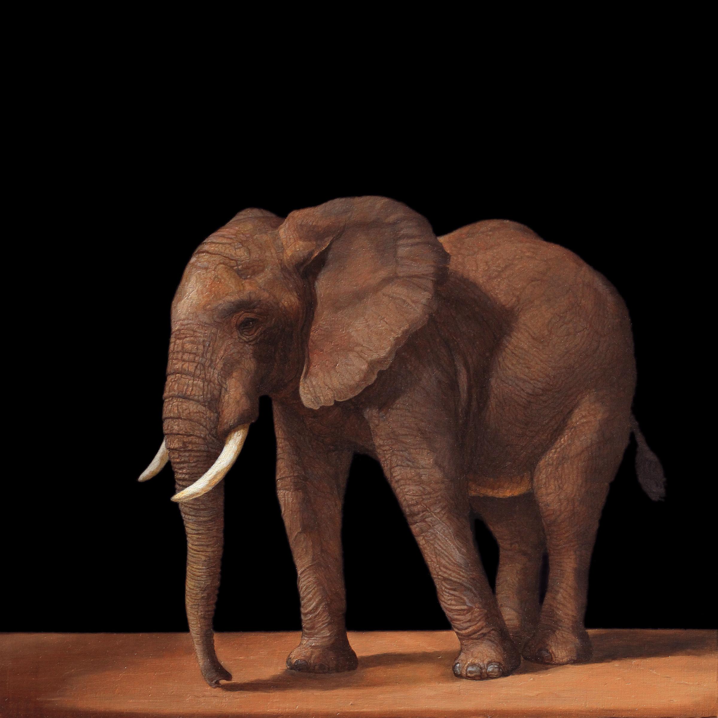 Patricia Traub Animal Painting - YOUNG AFRICAN ELEPHANT, Realism, Old Master, Animal, Tanzania, Conservation