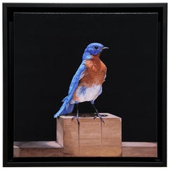 EASTERN BLUE BIRD - Animal Portrait