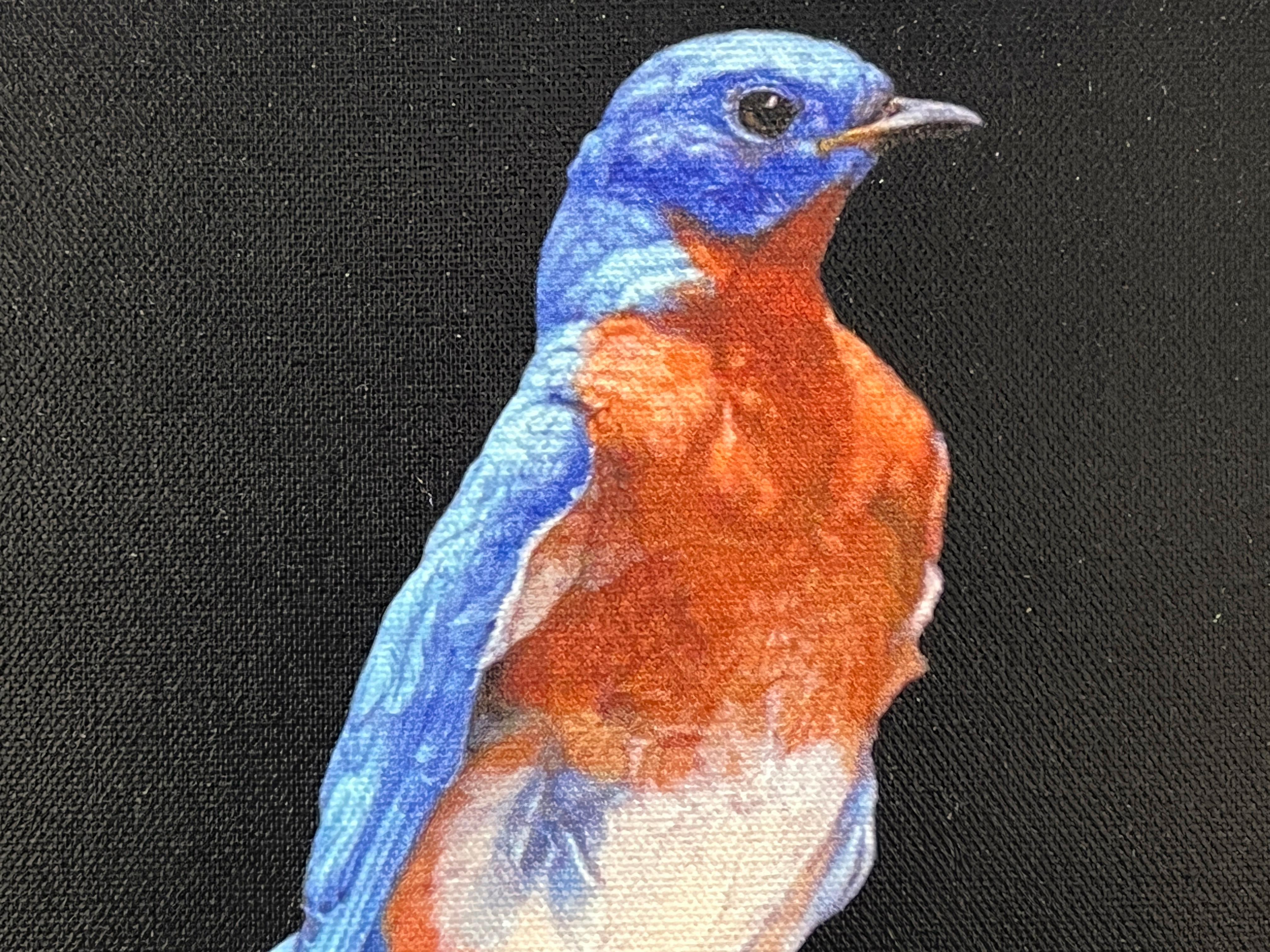 EASTERN BLUE BIRD - Contemporain / Photorealism / animal print en vente 1