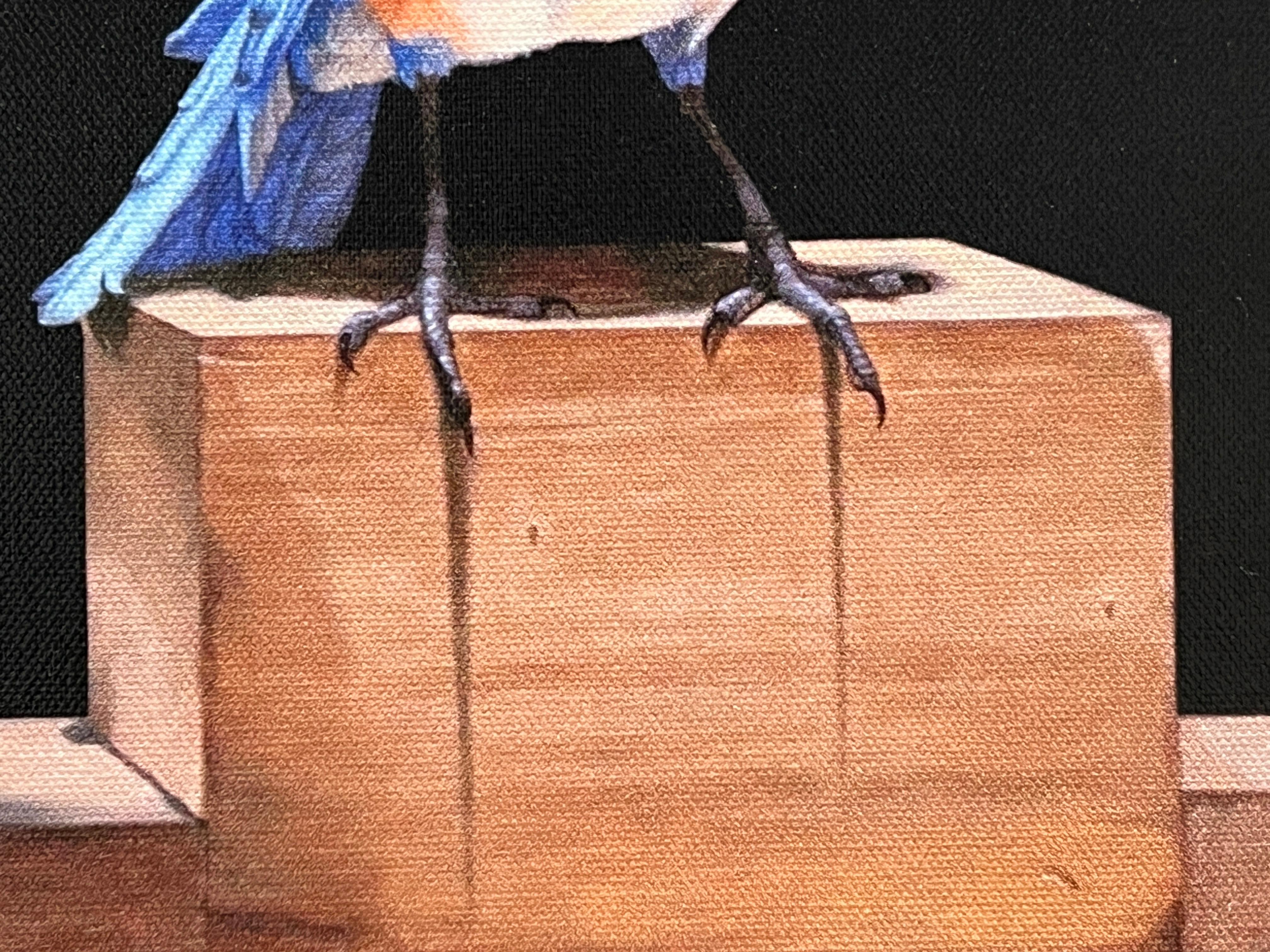 EASTERN BLUE BIRD - Contemporain / Photorealism / animal print en vente 2