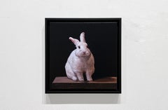 CONEJO HÍBRIDO - Contemporáneo / Fotorrealismo / Animal print