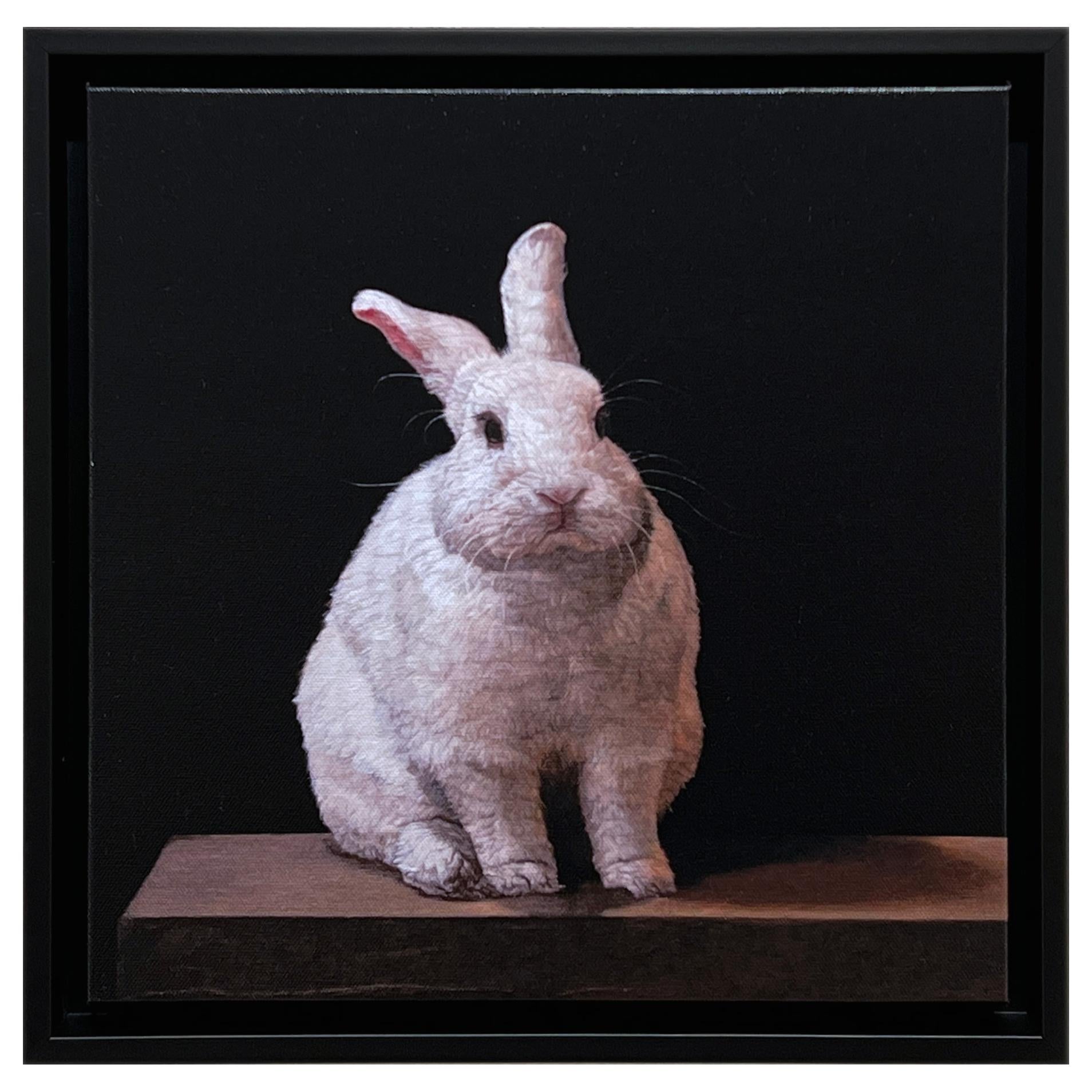 Patricia Traub Animal Print – HYBRID RABBIT - Contemporary / Photorealism / Tierdruck 