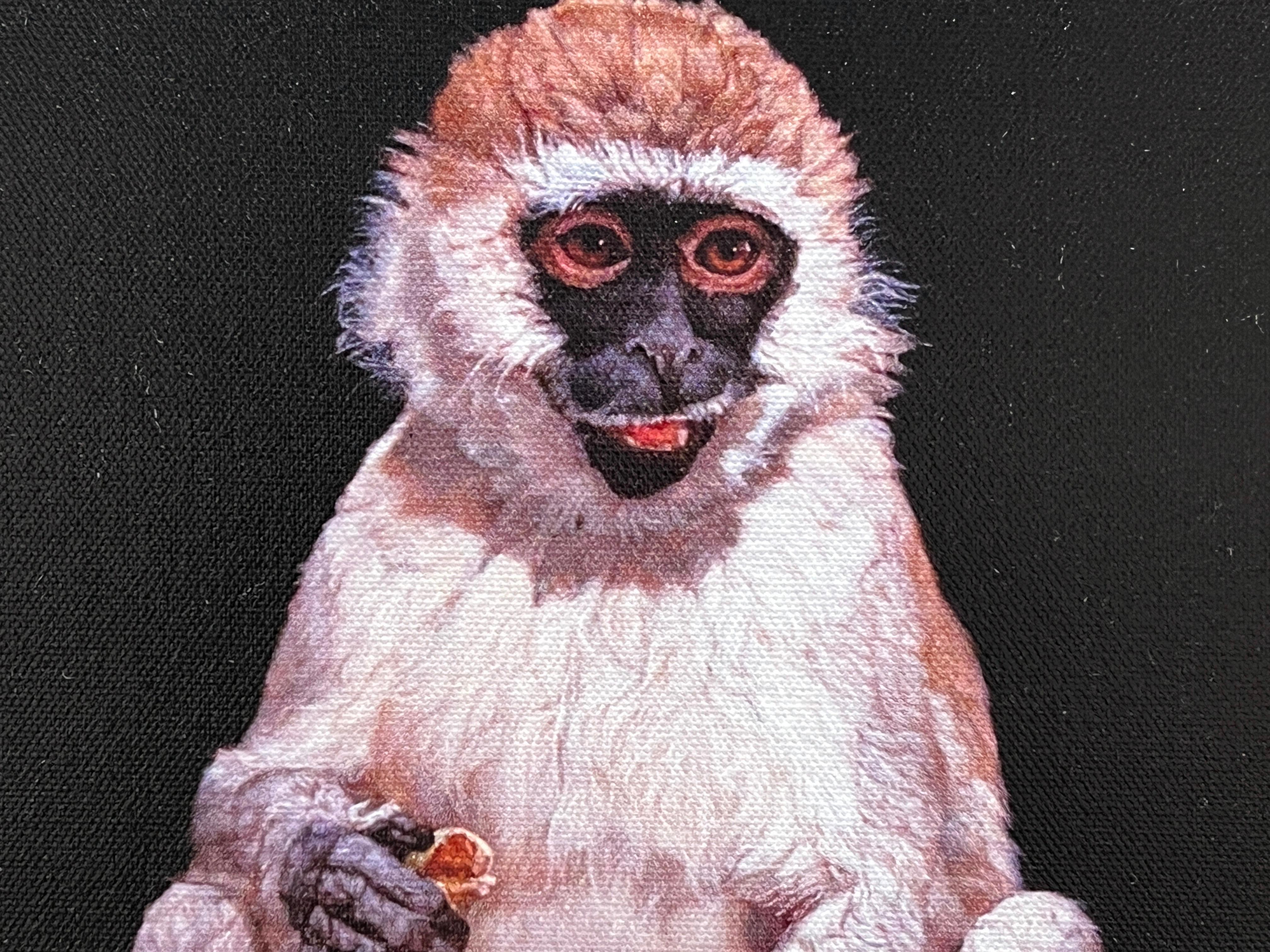 JOVEN MONO VERVET COMIENDO UNA FRUTA DE BAOBÁ - Fotorrealismo / Animal Print en venta 3
