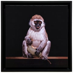 YOUNG VERVET MONKEY EATING A BAOBAB FRUIT - Photorealism / animal / print