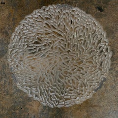 Patricia Urquiola "T-Table" Lucite Table Model 8501 for Kartell, Italy, 2001