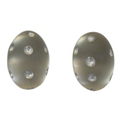 Patricia von Musulin Lucite and Sterling Silver Clip Earrings 