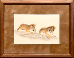 Squirrels