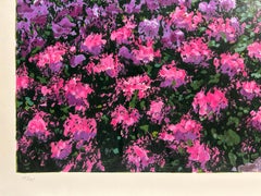 Welcome To Nantucket