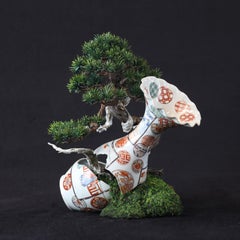 "Shohin", Contemporaneo, Tecnica mista, Ceramica, Scultura, Dipinto a mano, Bonzai