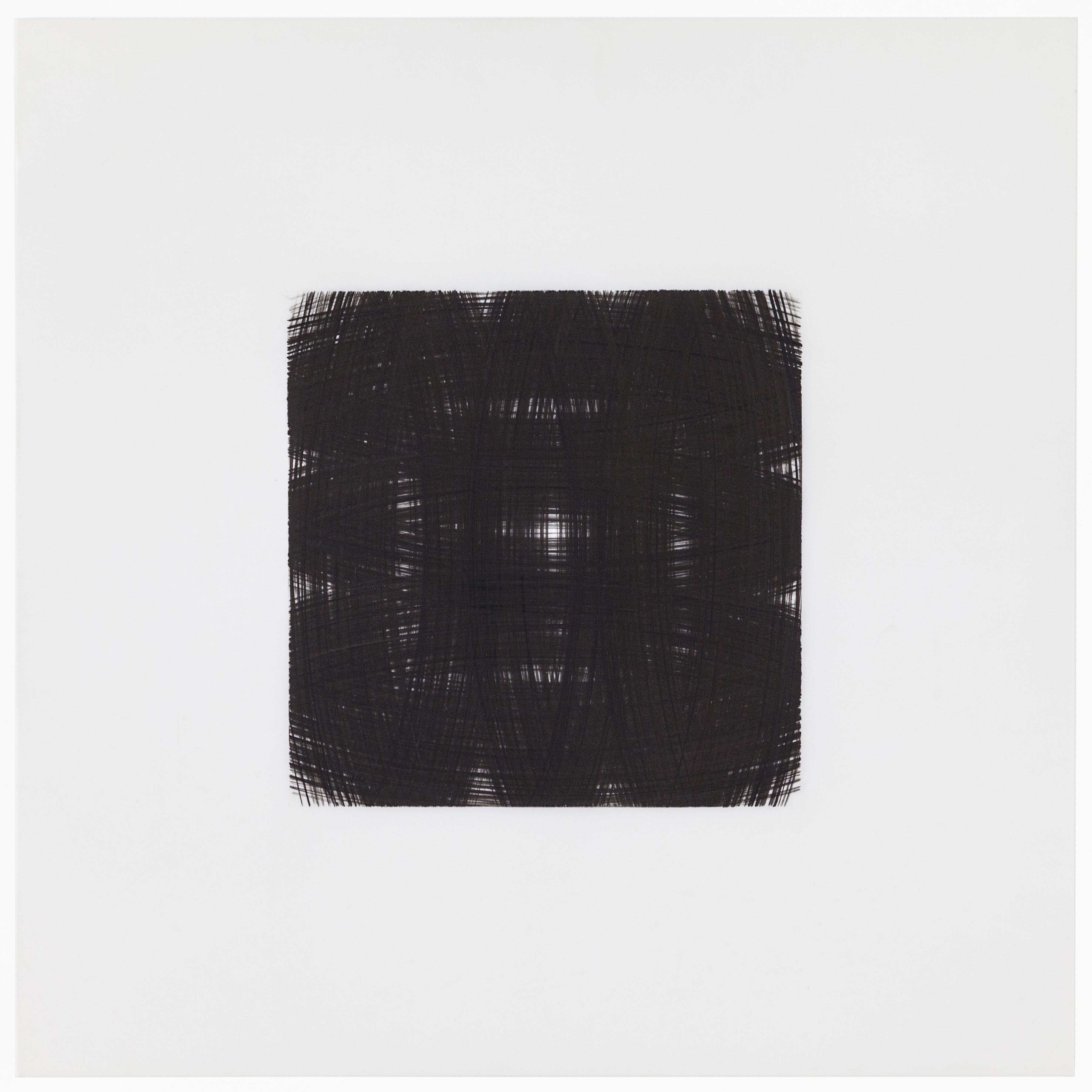 Patrick Carrara Black Ink on Mylar Drawings, Appearance Series, 2013 - 2015 In Excellent Condition For Sale In New York, NY