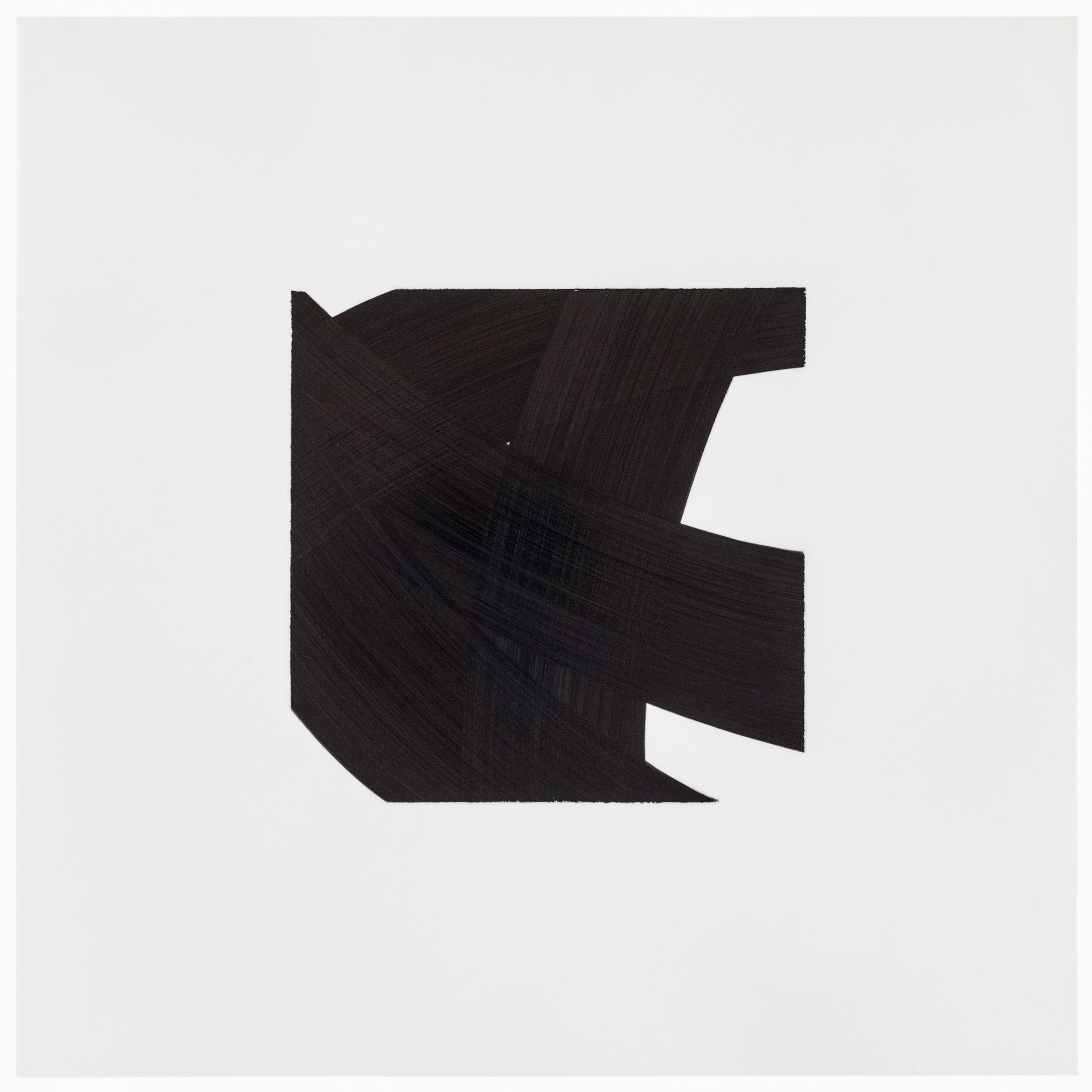 Patrick Carrara Schwarze Tinte auf Mylar-Zeichnungen, Appearance-Serie, 2014 - 2017 (Moderne) im Angebot