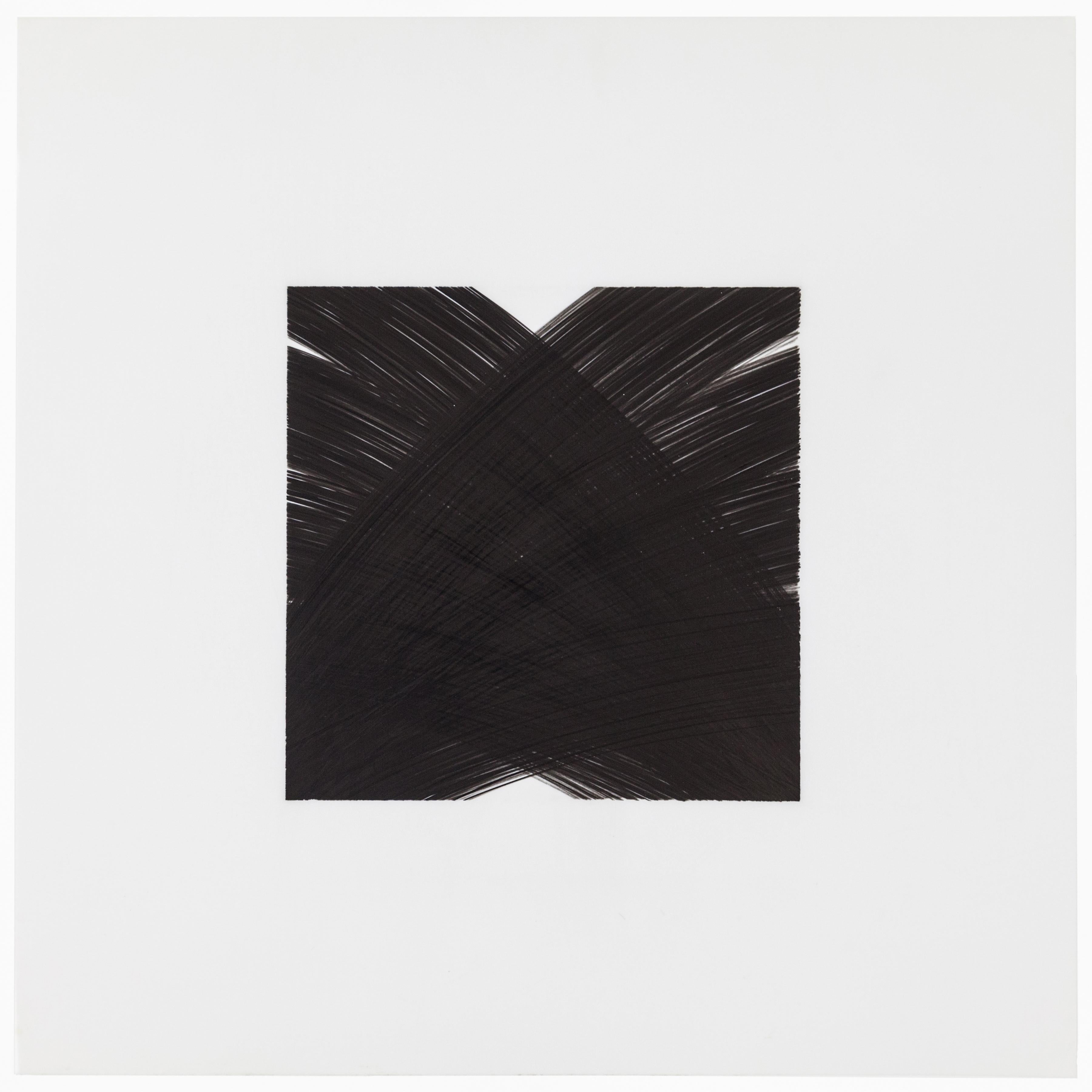 Patrick Carrara Black Ink on Mylar Drawings, Appearance Series, 2014 - 2017 In Excellent Condition For Sale In New York, NY