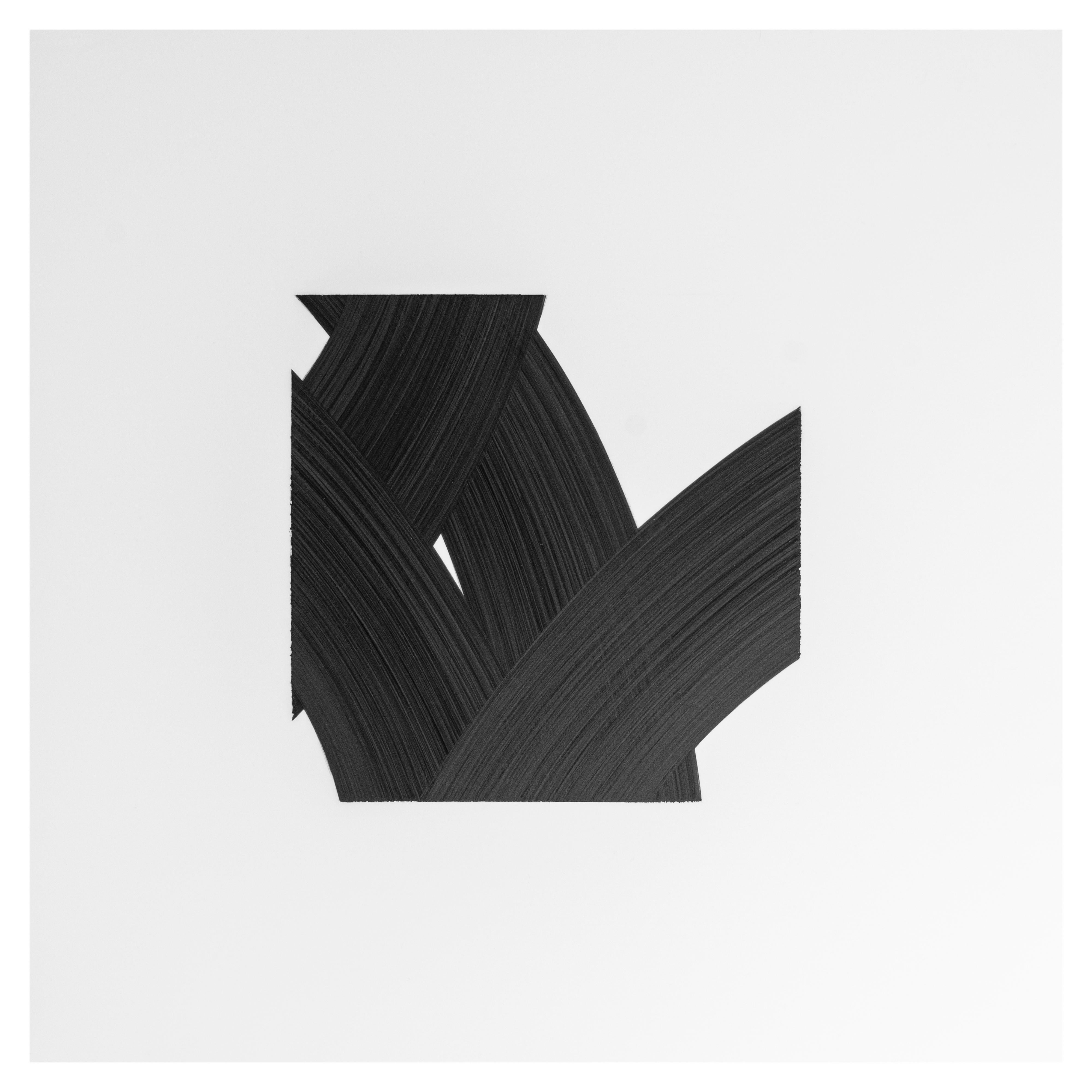 Moderno Patrick Carrara Disegni con inchiostro nero su Mylar, serie Appearance, 2017 in vendita