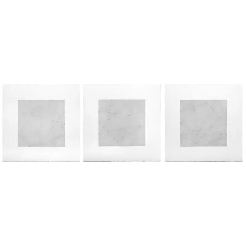 Das Triptychon Divided Lines Drawings des zeitgenössischen New Yorker Künstlers Patrick Carrara entstand im Jahr 2010. Die D.L. Serie (2010 -2011) wurde nach Gärten des Schweigens (2009 - 2010) geschaffen. Keine kleinen Quadrate mehr; die Linien