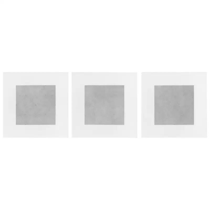 Contemporary Patrick Carrara Garden of Silence Triptych, Graphite on Paper, 2009 For Sale