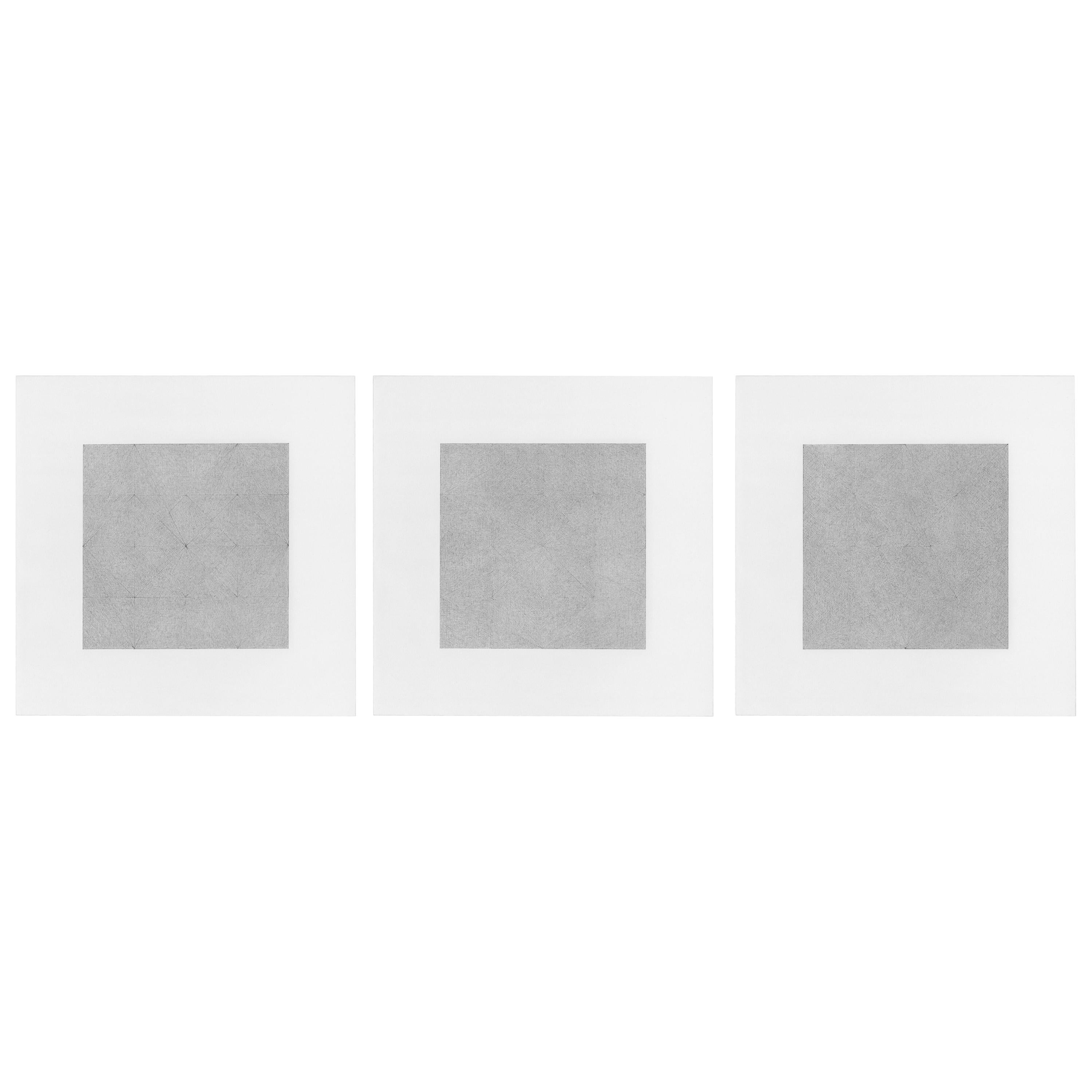 Patrick Carrara Garden of Silence Triptych, Graphite on Paper, 2009 For Sale