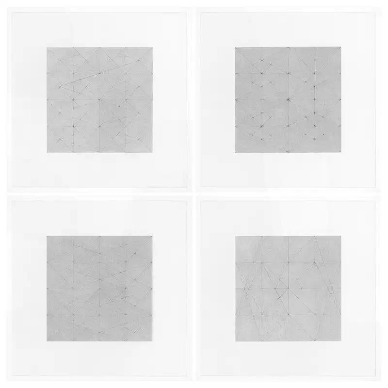 Contemporary New York artist Patrick Carrara's Garden of Silence Drawings were created in 2009. G.O.S. (2009 - 2010) was the first series using a mechanical pencil with a hard 5H graphite lead on soft Magnani paper which allowed him to engrave the