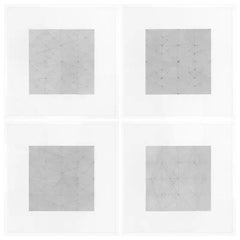 Patrick Carrara Graphite on Magni Drawings, série Garden of Silence, 2009