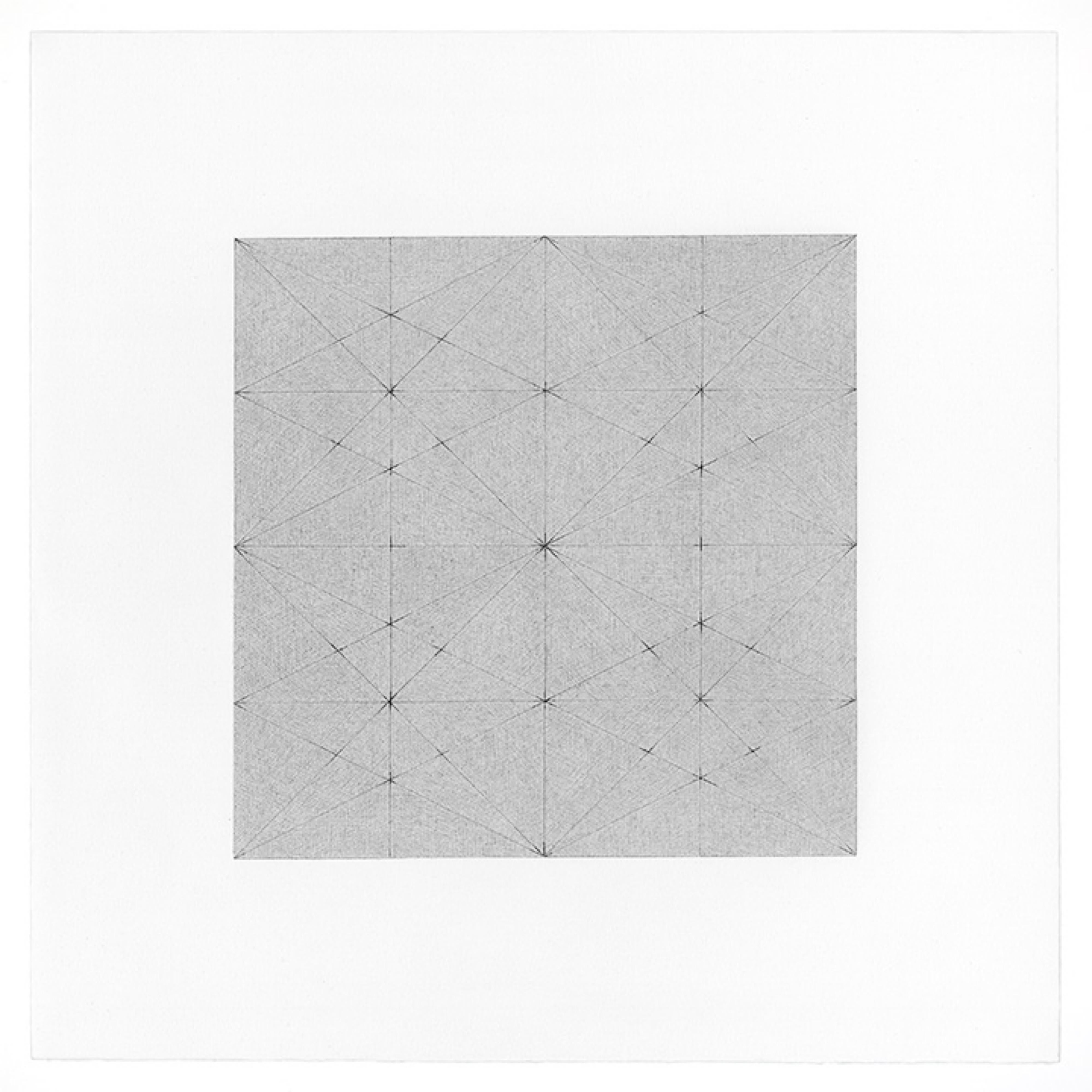 American Patrick Carrara Graphite on Magni Drawings, Garden of Silence Series, 2009 For Sale