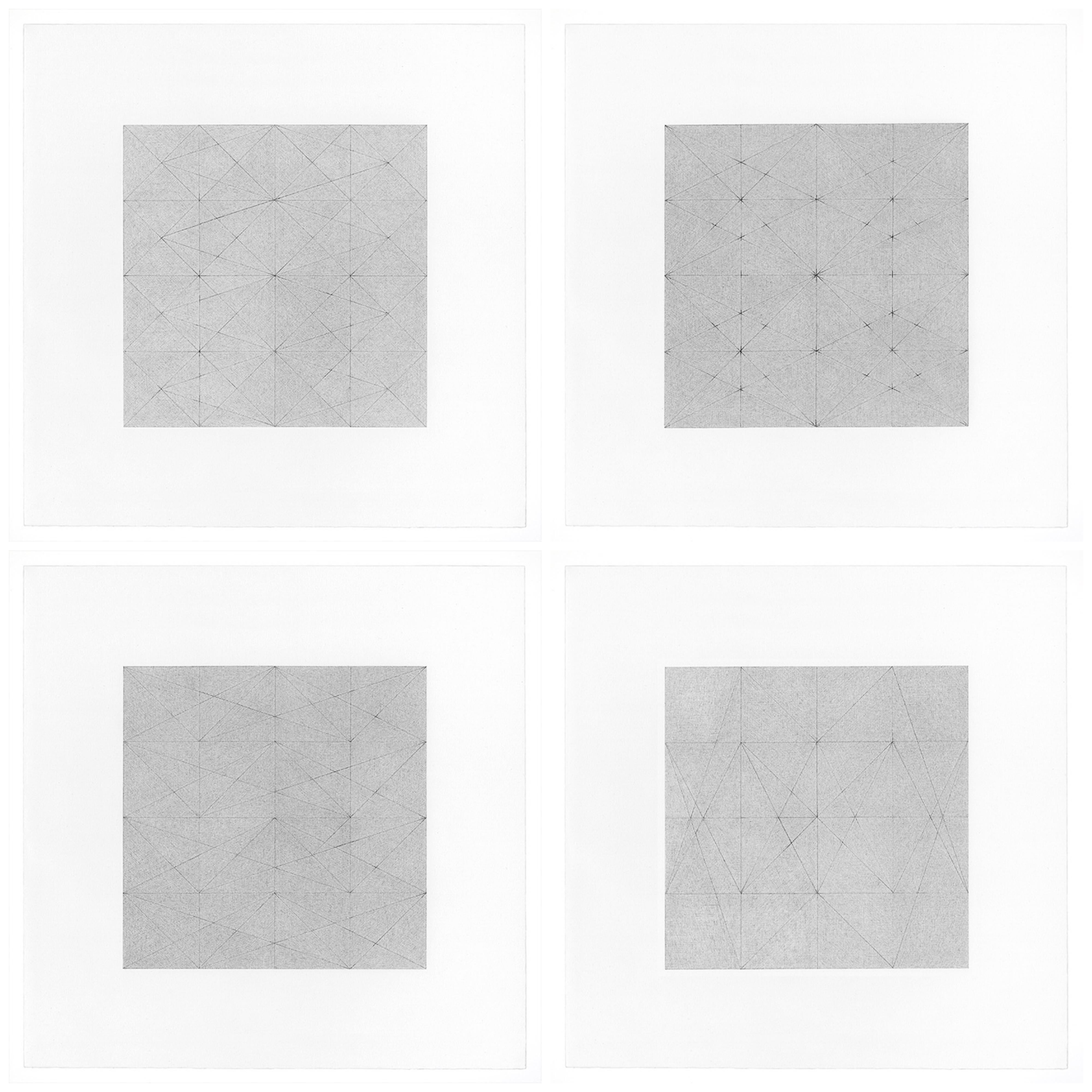 Paper Patrick Carrara Graphite on Magni Drawings, Garden of Silence Series, 2009 For Sale