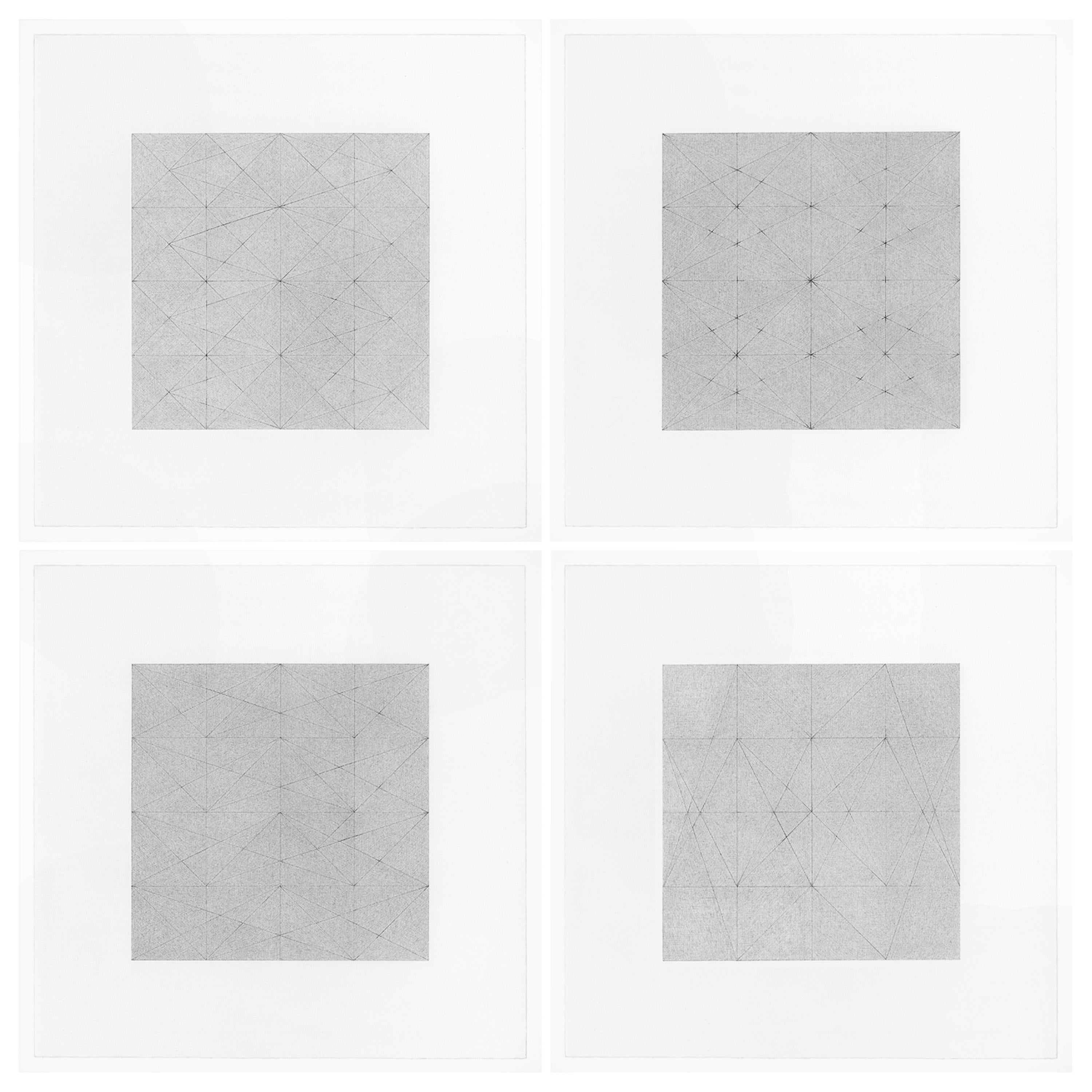 Patrick Carrara Graphite on Magni Drawings, série Garden of Silence, 2009