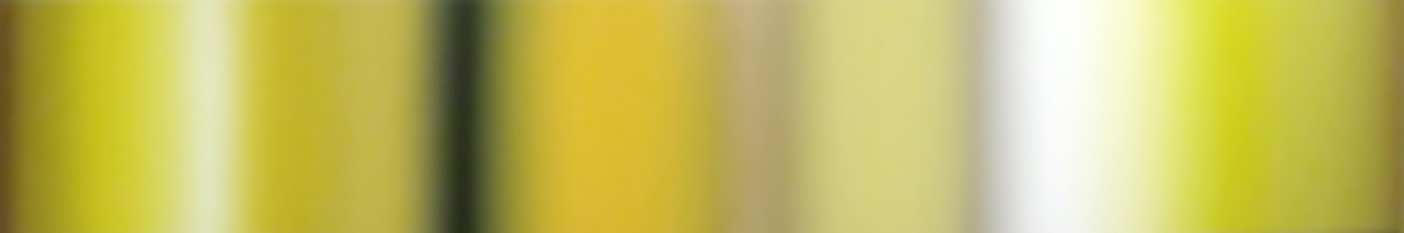 Patrick Dintino Abstract Painting – Goldrush – großes abstraktes Ölgemälde in Erdtönen, gelben, beige und weißen Streifen