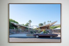 "Alas de Gaviota" fotografía de Patrick Lajoie (49x65in), 2019