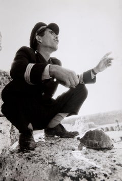 Guard and Tortoise