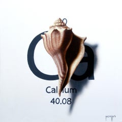 « Calcium » (2025) de Patrick Nevins, peinture à l'huile sur panneau de coquillage